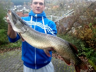 92cm Hecht vom Sorpesee